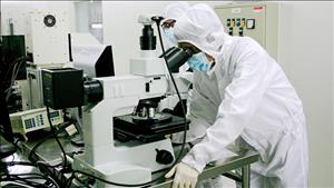 Xây dựng chính sách đãi ngộ đặc biệt để thu hút 100 chuyên gia hàng đầu về nước làm việc