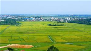 Thành lập Tổ công tác về làm sạch cơ sở dữ liệu đất đai