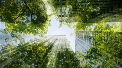 Chuẩn bị tổ chức Tuần lễ Công trình xanh và Giao thông xanh Việt Nam năm 2025