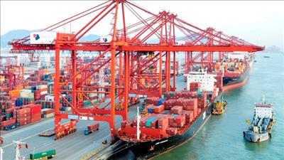 Kim ngạch thương mại Việt Nam – Singapore tăng mạnh trong 8 tháng năm 2025