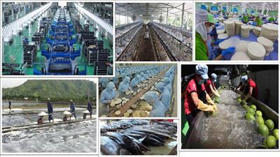 Thúc đẩy kinh tế tư nhân phát triển nhanh, bền vững