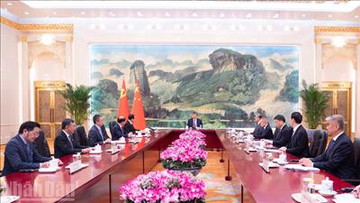 Đặc phái viên của Tổng Bí thư Tô Lâm hội kiến Tổng Bí thư, Chủ tịch Trung Quốc Tập Cận Bình