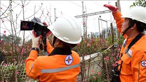Sẵn sàng phương án đảm bảo cung cấp điện trong dịp Tết Nguyên đán Bính Ngọ 2026