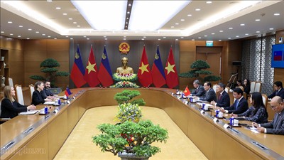 Thủ tướng Lê Minh Hưng hội đàm với Thủ tướng Liechtenstein