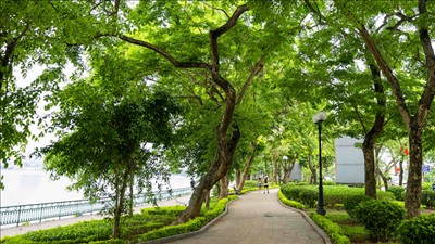 Bắc Bộ ngày nắng, Trung Bộ và Nam Bộ mưa dông vài nơi
