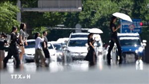 Hội nghị COP31 tập trung vào thực thi các chính sách khí hậu
