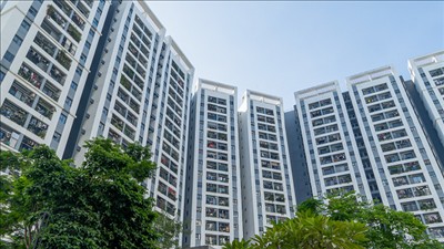 Siết quản lý hoạt động kinh doanh bất động sản, bảo vệ người mua nhà