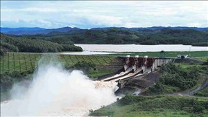Chủ động phòng, chống, ứng phó với các loại hình thiên tai do ảnh hưởng của El Nino