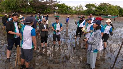 Việt Nam thúc đẩy hợp tác ASEAN về carbon xanh dương