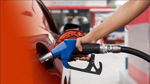 IEA: Làm việc từ xa, hạn chế đi máy bay để giảm áp lực lên thị trường năng lượng