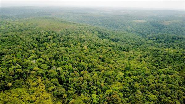 Nâng cao hiệu quả công tác bảo vệ môi trường, góp phần thúc đẩy chuyển đổi mô hình tăng trưởng