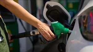 Cục Thuế yêu cầu khẩn trương triển khai giảm 3 loại thuế đối với xăng, dầu