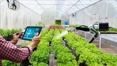 Doanh nghiệp chuyển đổi số - xanh để phát triển bền vững