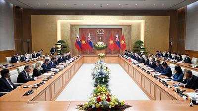 Nâng cấp quan hệ Việt Nam - Slovakia lên Đối tác chiến lược