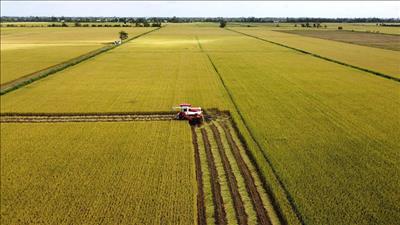 Việt Nam sẽ tham gia Triển lãm Xanh thế giới 2027