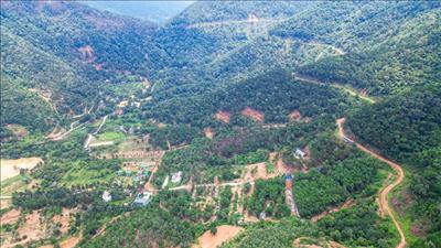 Hành động thích ứng với quy định chống mất rừng và suy thoái rừng của Liên minh châu Âu