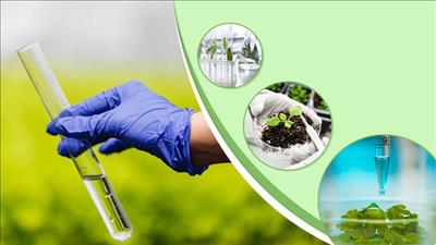 Thành lập Mạng lưới quan trắc và cảnh báo phóng xạ môi trường quốc gia