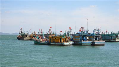 Thủ tướng yêu cầu khắc phục triệt để các tồn tại trong chống khai thác IUU