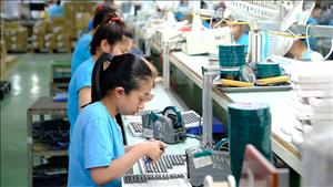 Khẩn trương triển khai các nghị quyết cắt giảm, đơn giản hóa thủ tục hành chính, điều kiện kinh doanh