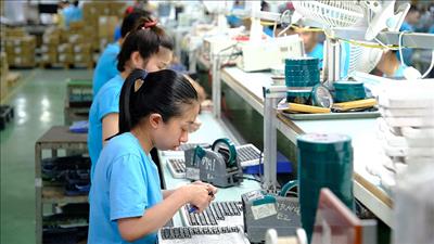 Khẩn trương triển khai các nghị quyết cắt giảm, đơn giản hóa thủ tục hành chính, điều kiện kinh doanh