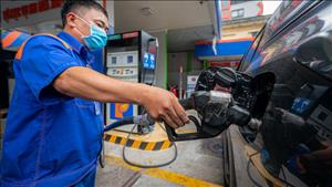Cắt giảm nhiều thủ tục hành chính, điều kiện kinh doanh trong lĩnh vực xăng dầu