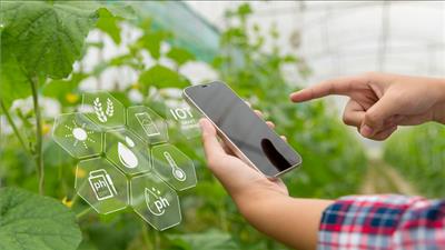 Hà Nội: Ứng dụng IoT trong lĩnh vực nông nghiệp thông minh