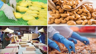 Phối hợp thúc đẩy xuất khẩu nông lâm thủy sản bền vững