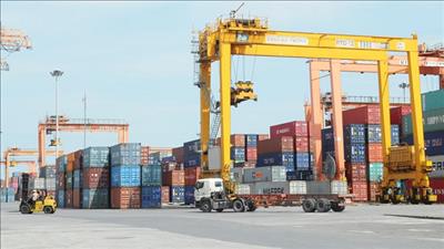 Logistics xanh mở đường cho chuỗi cung ứng mới
