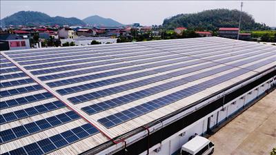 Doanh nghiệp tìm giải pháp thích ứng chuẩn ESG để phát triển bền vững