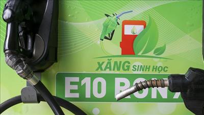 Ban hành kế hoạch kiểm tra, giám sát chất lượng xăng E10