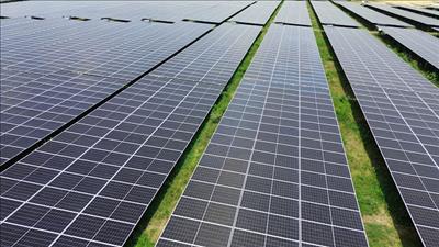 Thúc đẩy hợp tác trao đổi quốc tế tín chỉ carbon