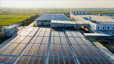 Thúc đẩy doanh nghiệp áp dụng chuyển đổi số, chuyển đổi xanh