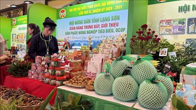 Nông sản Việt minh bạch nguồn gốc bước ra thị trường quốc tế