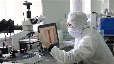 Quy định chức năng, nhiệm vụ của Quỹ Phát triển khoa học và công nghệ quốc gia