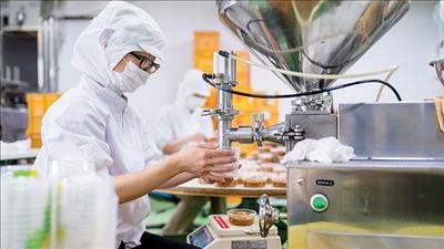 Chính phủ gia hạn thời gian nộp thuế và tiền thuê đất trong năm 2026