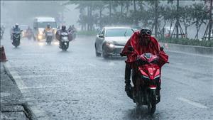 Bắc Bộ và Trung Bộ cục bộ có nơi mưa to đến rất to, Nam Bộ ngày nắng