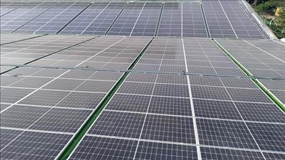 TPHCM thực hiện chương trình sử dụng năng lượng tiết kiệm và hiệu quả giai đoạn 2026 – 2030