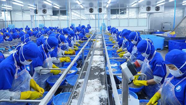 Chỉ số niềm tin kinh doanh của doanh nghiệp châu Âu vào Việt Nam tăng mạnh