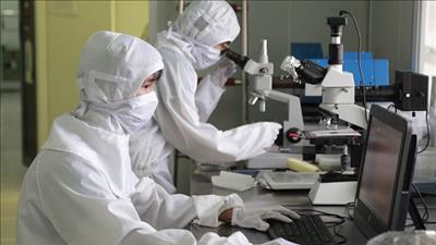 Quy định mới về Khung trình độ quốc gia Việt Nam