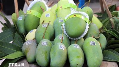 Bộ Công Thương sẽ thúc đẩy đối thoại với Hoa Kỳ sau kết luận thuế Mục 301