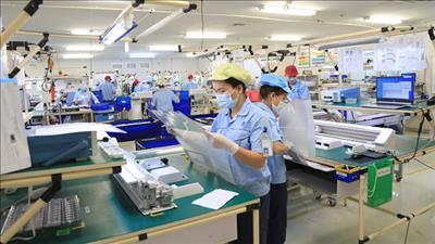 Hơn 125,9 nghìn doanh nghiệp đăng ký thành lập mới trong 7 tháng đầu năm