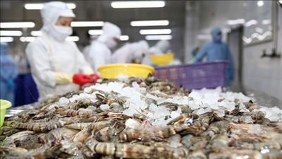 Tổng giá trị xuất khẩu nông lâm thủy sản đạt gần 43 tỷ USD trong 7 tháng