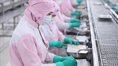 Chuẩn hóa quy trình chứng nhận thủy sản xuất khẩu sang thị trường Hoa Kỳ