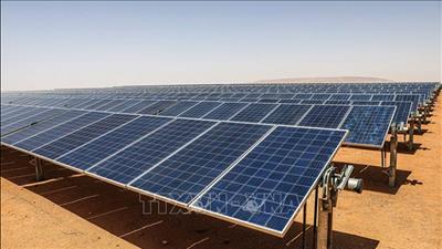 EU tăng tốc phát triển pin lưu trữ để giảm lãng phí điện gió và điện mặt trời