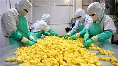 Thương mại Việt Nam - Australia hướng tới những động lực tăng trưởng mới