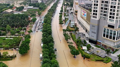 Chia sẻ kinh nghiệm quản lý ngập lụt đô thị và lưu vực sông