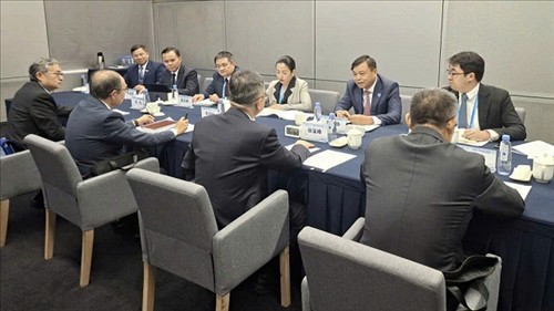Trung Quốc phê duyệt thêm nhiều mã số vùng trồng, cơ sở đóng gói nông sản Việt Nam