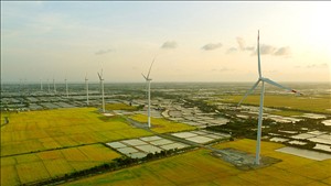 Tỉnh Cà Mau chấp thuận chủ trương đầu tư 4 dự án điện gió