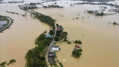Bảo vệ các trọng điểm đê điều xung yếu, ứng phó với mưa lũ trên diện rộng