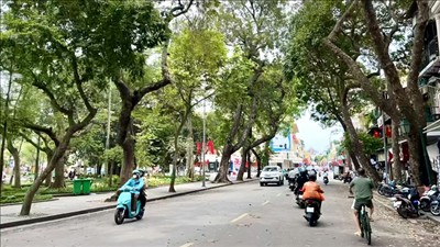 Thời tiết ngày 26/8: Bắc Bộ và Nam Bộ mưa dông; Trung Bộ ngày nắng, có nơi nắng nóng